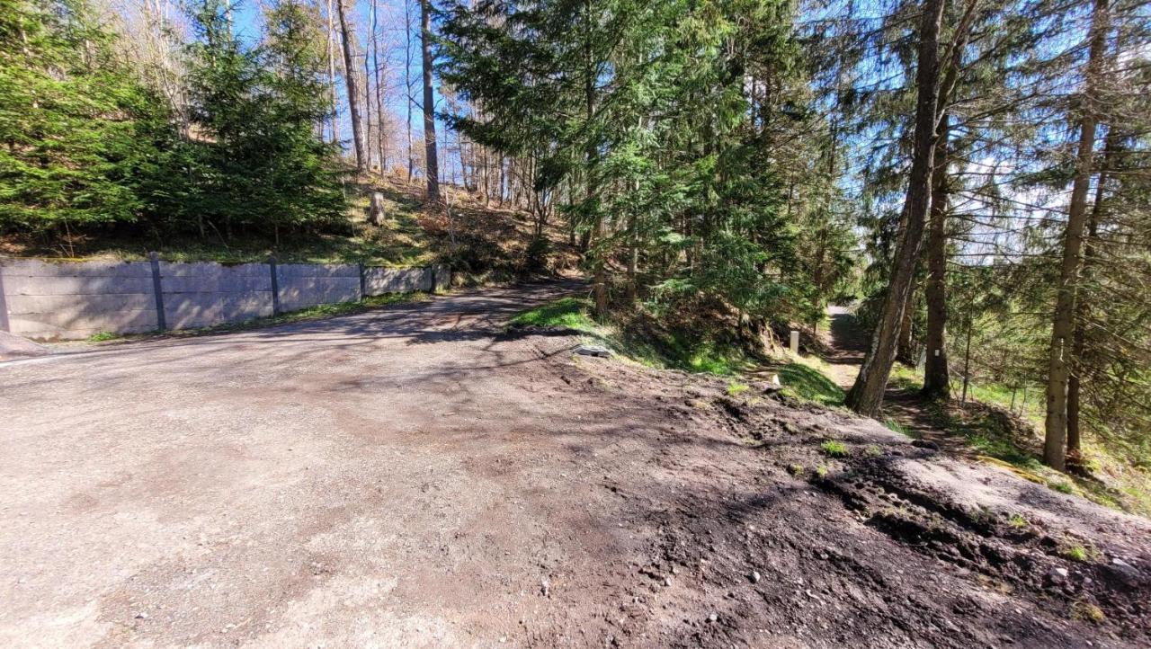 Waldpension Am Koepfchen Kurort Steinbach-Hallenberg Exterior foto
